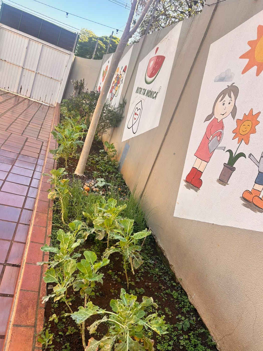 Canteiro da horta ao lado do muro com desenhos de crianças